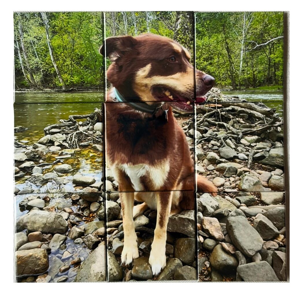 mamabearmagnets puzzle example 9. jpg